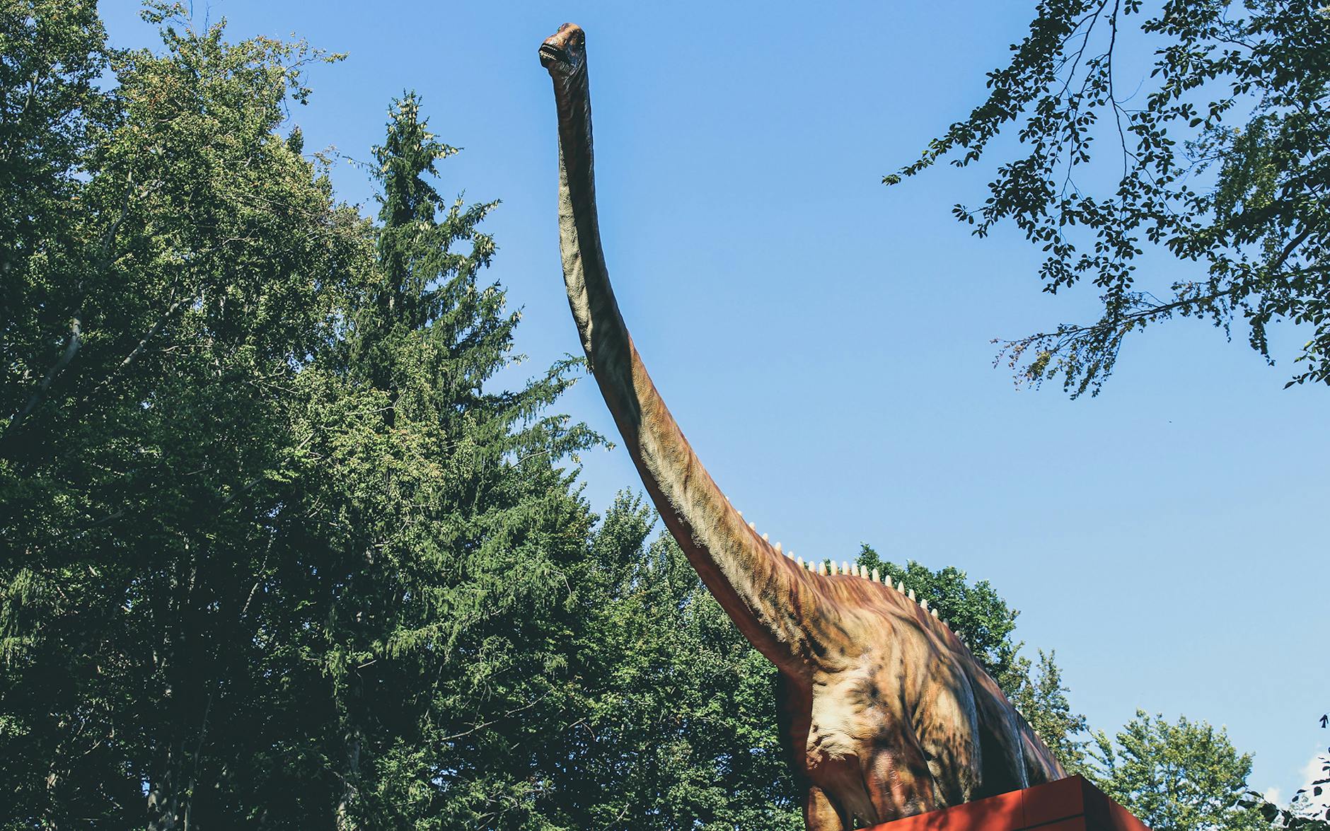 brown dinosaur