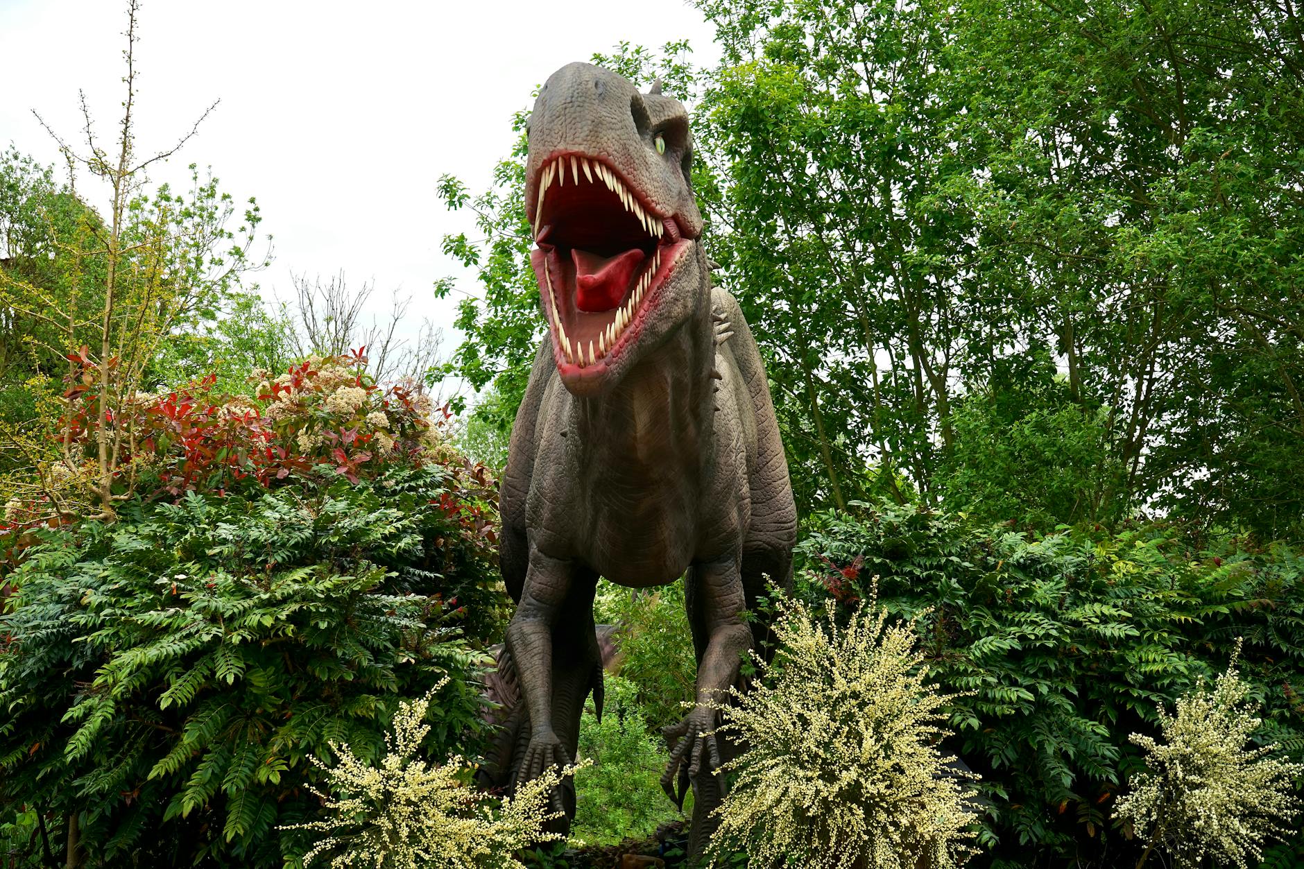 brown t rex statue