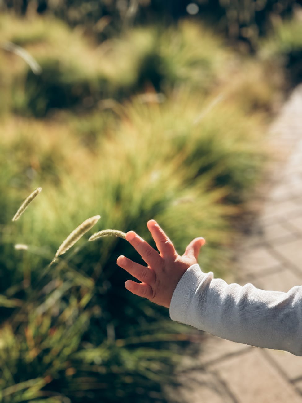 child hand touching plants