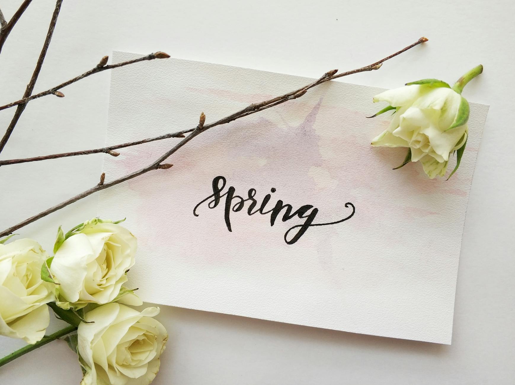 white printed paper with four white roses
