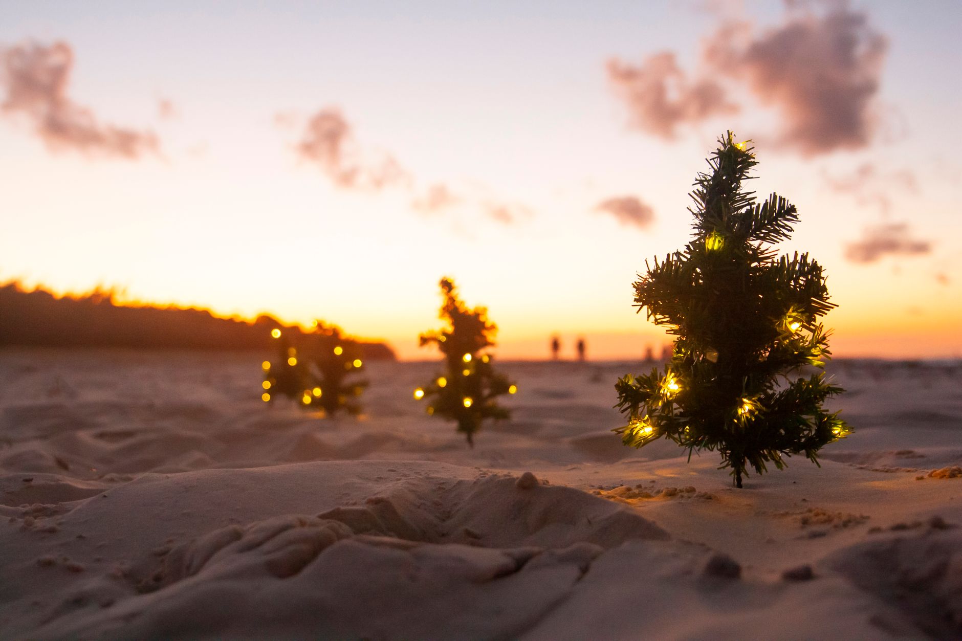 little christmas tree with lights on a beach